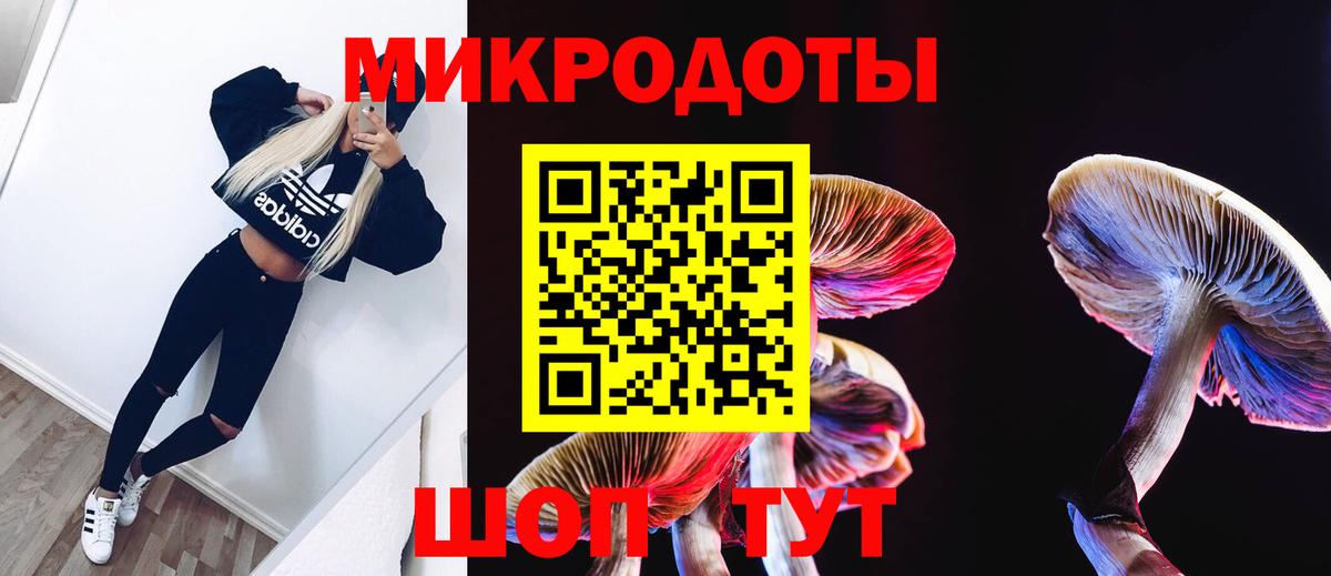 купить закладку  Псилоцибиновые грибы Psilocybe  Вход с VPN  Чапаевск 